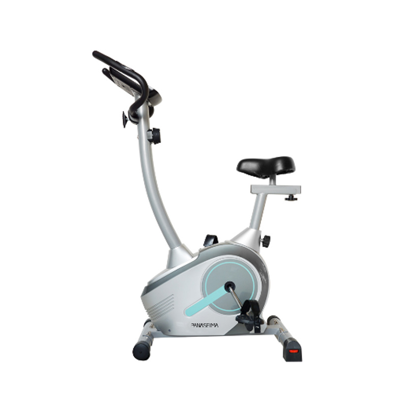 豪华立式健身车PSM-171