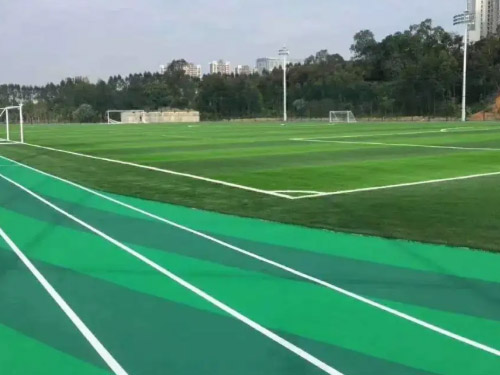 混合草足球场特点是什么呢