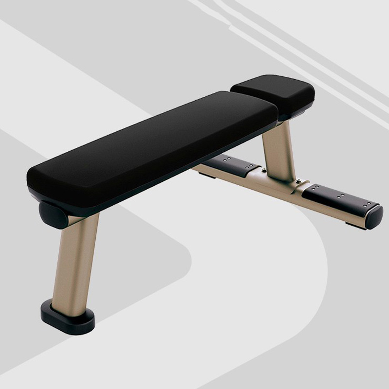 LifeFitness力健力量运动器械水平练习椅框架锻炼椅