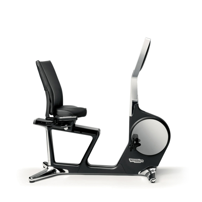Technogym泰诺健意大利进口健身车小型动感单车RELINE PERSONAL